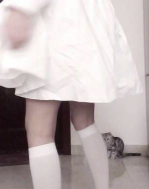 【独家】与狐说by萝卜药丸了