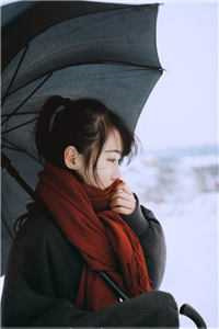 【热文】《资本家小姐亲妈是福运女主》徐芝琳徐玉珠