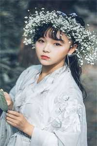 咸鱼摆烂复婚综艺[娱乐圈] 作者：塬