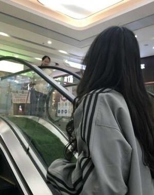 首发热文】《帝台娇：贵妃娘娘她又美又乖》郑淑宁 傅君意